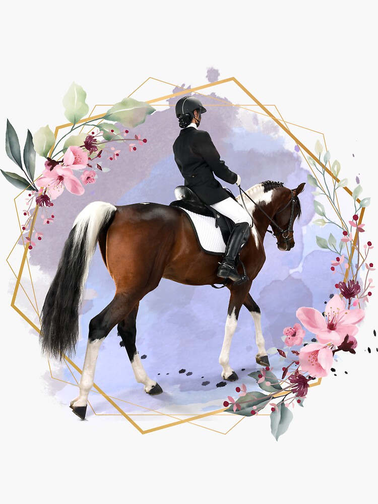 "English Dressage Bay Paint Horse" Sticker for Sale by Dreaminkedart
