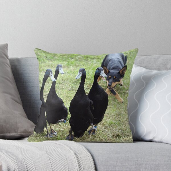 Item preview, Kelpie & Indian Runner Ducks - Farm World designed and sold by Bev Pascoe.