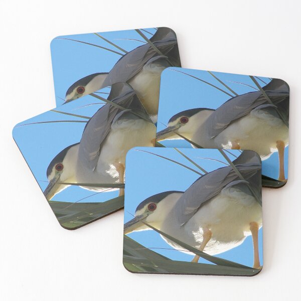 Item preview, Black-Crowned Night Heron designed and sold by RichImage.