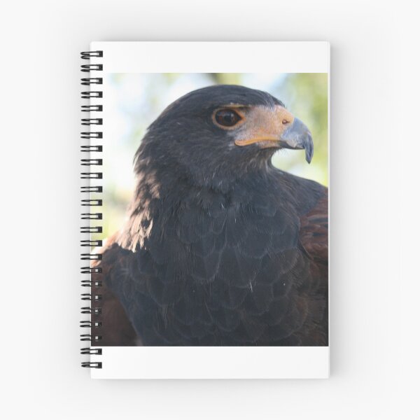 Item preview, Harris Hawk... designed and sold by RichImage.