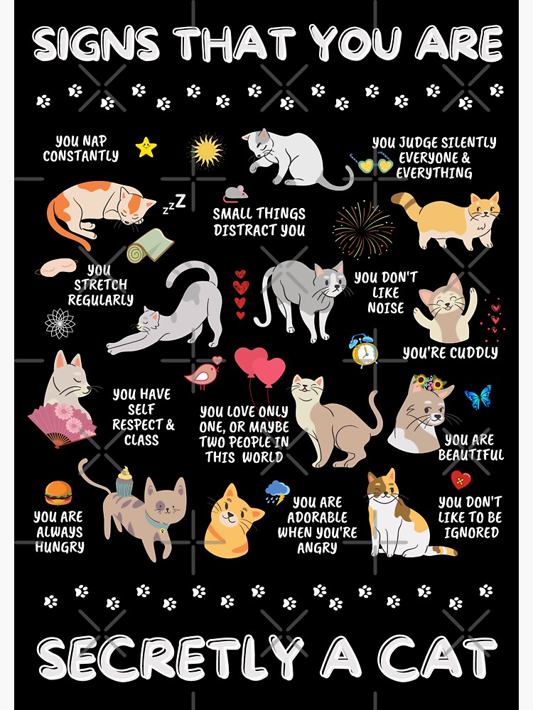 "Signs That You Are Secretly a Cat Crazy Cat Lady Stationary " Sticker