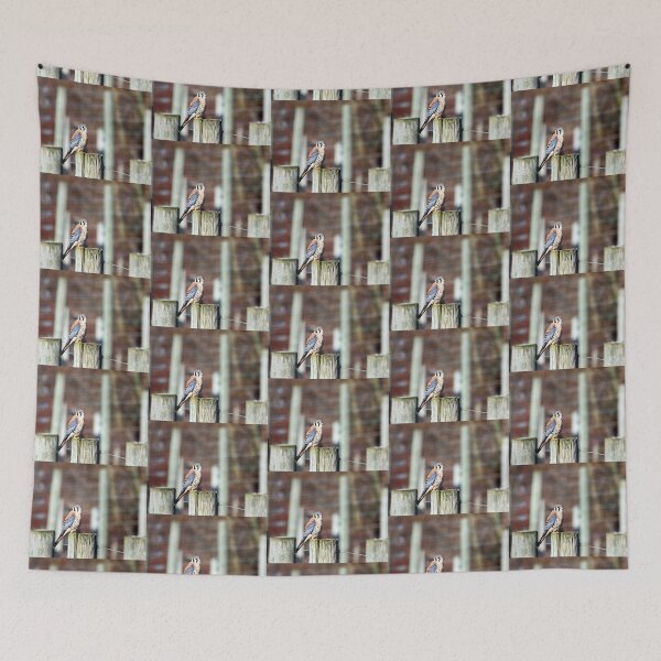 Item preview, Sparrowhawk... designed and sold by RichImage.