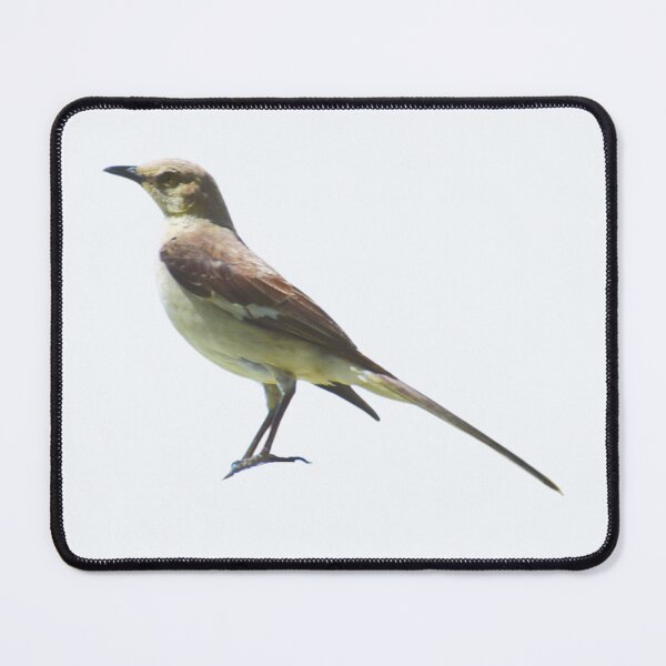 Item preview, Nightingale Bird designed and sold by RainbowSpinkle.