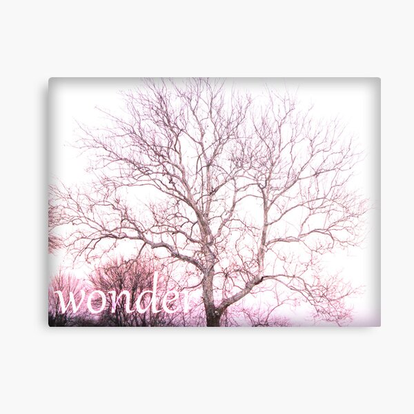Wonder- soft Metal Print