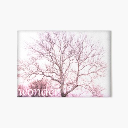 Wonder- soft Art Board Print