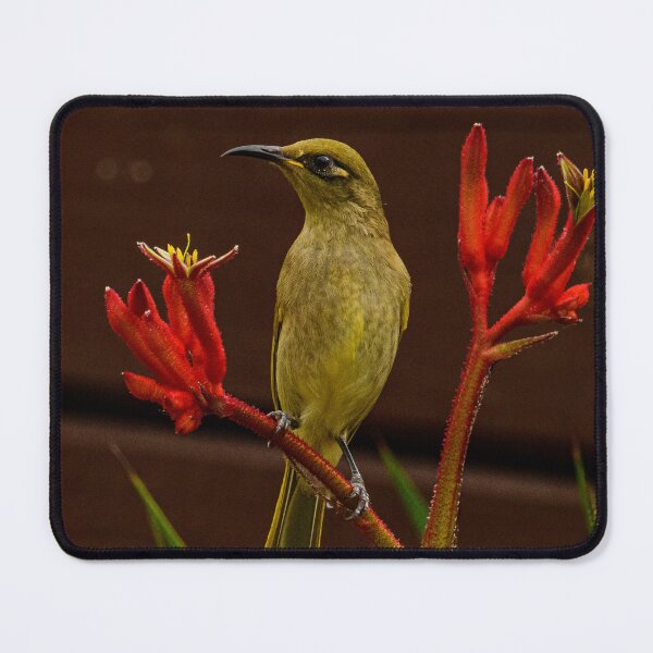 Item preview, Nectar Feeder designed and sold by Peter Detheridge.