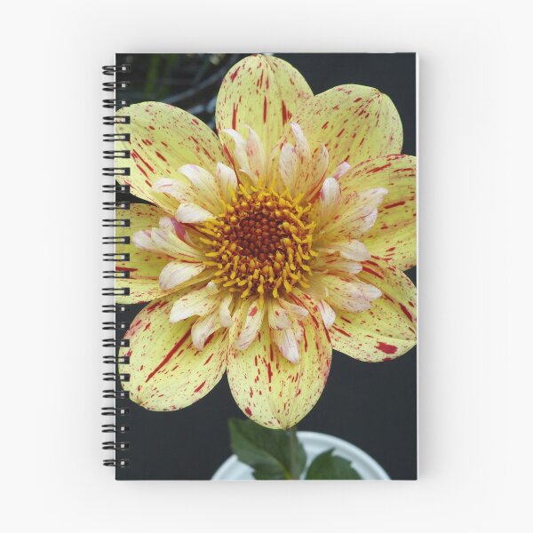 Item preview, Dahlia #11 designed and sold by Sarah Curtiss.
