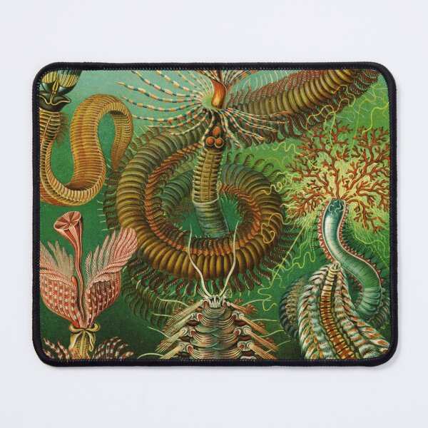 Item preview, Haeckel Chaetopoda designed and sold by linggalibrary.