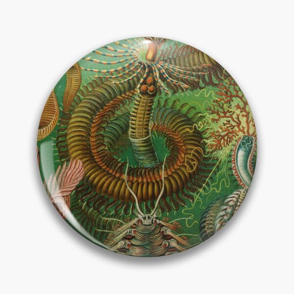 Item preview, Haeckel Chaetopoda designed and sold by linggalibrary.