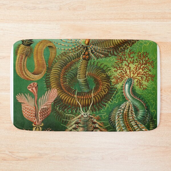 Item preview, Haeckel Chaetopoda designed and sold by linggalibrary.
