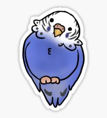 Blue parakeet Sticker