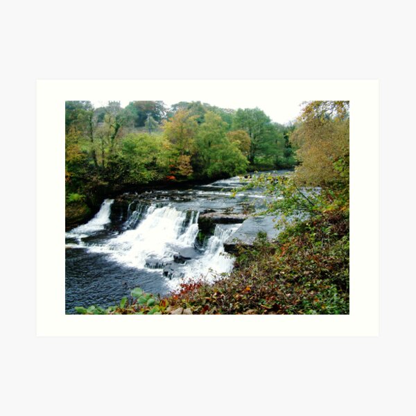 Aysgarth Falls Art Print