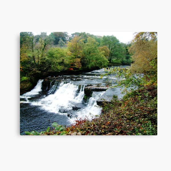 Aysgarth Falls Canvas Print