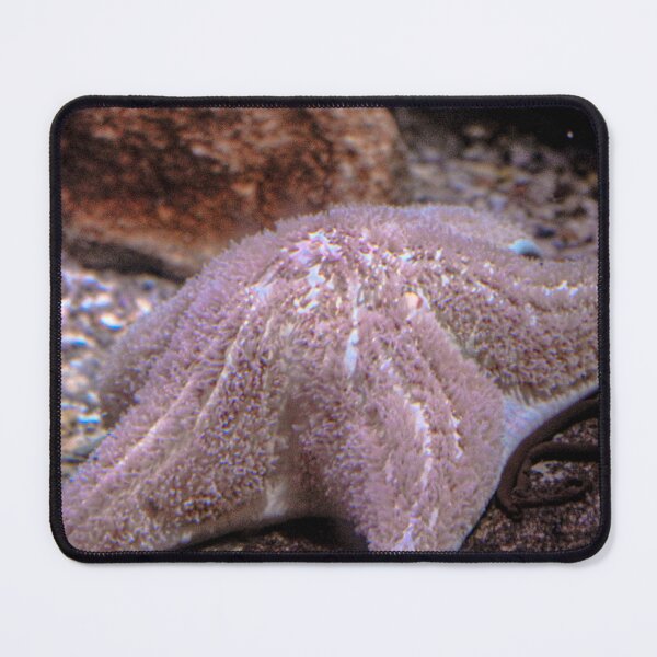 Item preview, Starfish Underwater Art Print designed and sold by Sadeshots.