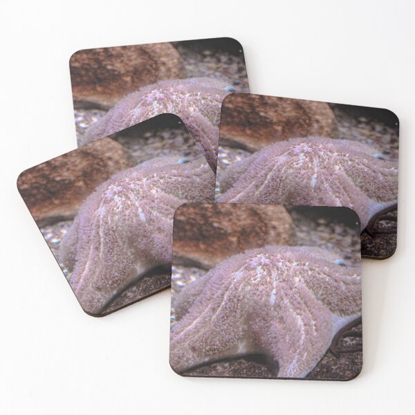 Item preview, Starfish Underwater Art Print designed and sold by Sadeshots.