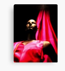 The lady in Red Canvas Print