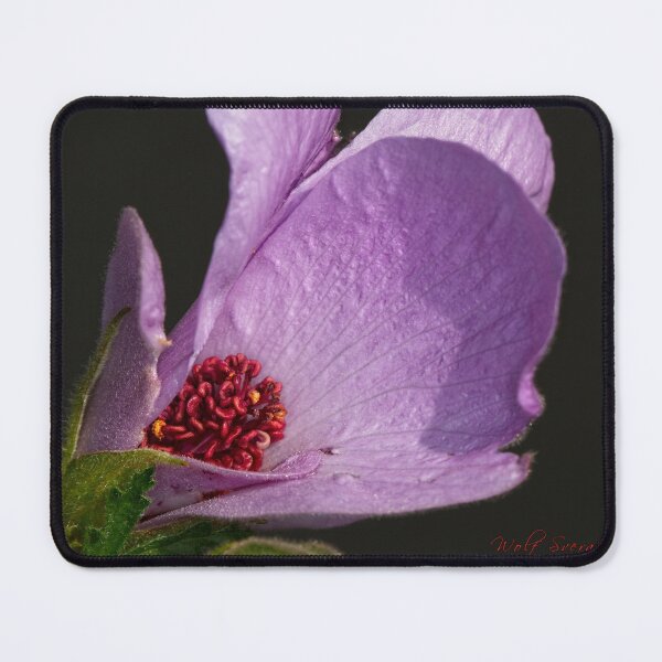 Item preview, "Small" Impressions 2022 (31) designed and sold by Wolf Sverak Photography.
