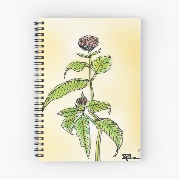 Item preview, Wild Bergamot designed and sold by drausick.