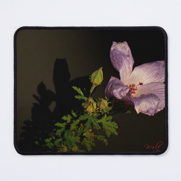 Item preview, "Small" Impressions 2022 (27) designed and sold by Wolf Sverak Photography.