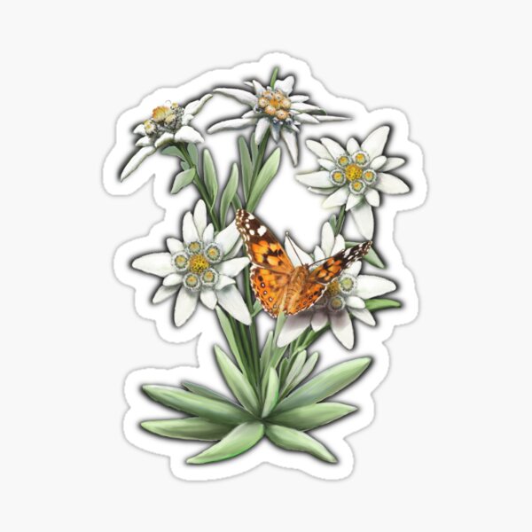 FLORAL ~ D1G1TAL-M00DZ ~ Edelweiss with Butterfly by tasmanianartist Sticker