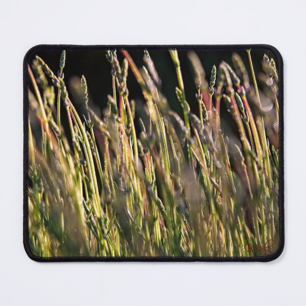 Item preview, "Small" Impressions 2022 (25) designed and sold by Wolf Sverak Photography.