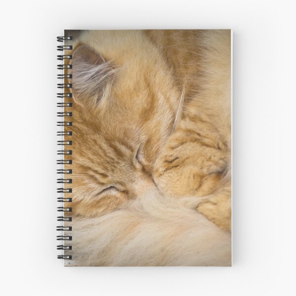 Item preview, Sleepy Cat designed and sold by Clare Colins.