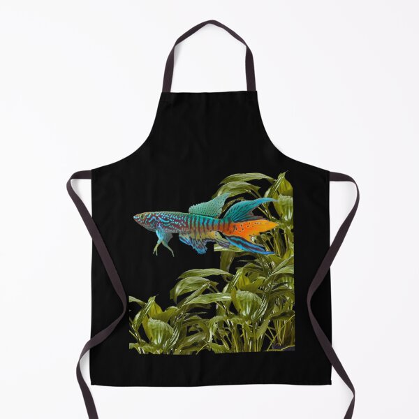 Item preview, Gularis and Cryptocoryne moehlmannii designed and sold by killies.