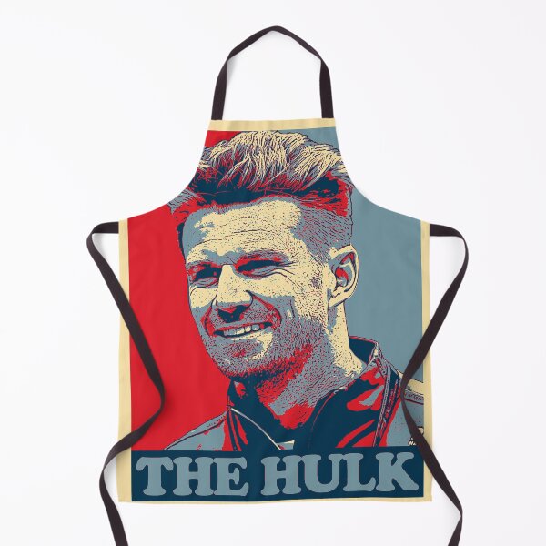 Item preview, Nico Hulkenberg designed and sold by Viet Nam.