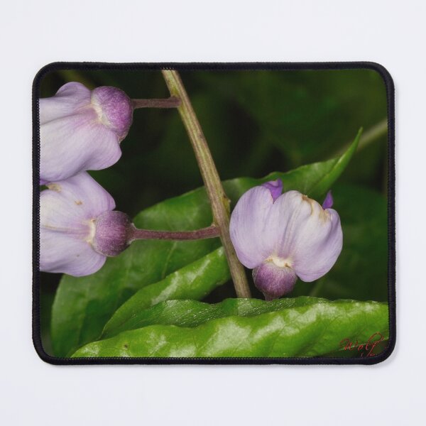 Item preview, "Small" Impressions 2022 (23) designed and sold by Wolf Sverak Photography.