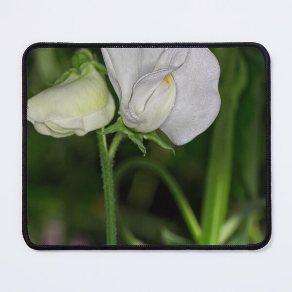 Item preview, "Small" Impressions 2022 (21) designed and sold by Wolf Sverak Photography.