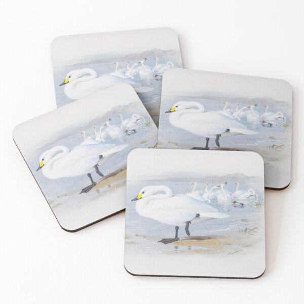 Item preview, Bewick's Swan by Archibald Thorburn  designed and sold by Amanda1775.