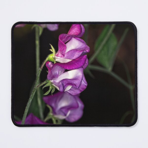 Item preview, "Small" Impressions 2022 (16) designed and sold by Wolf Sverak Photography.