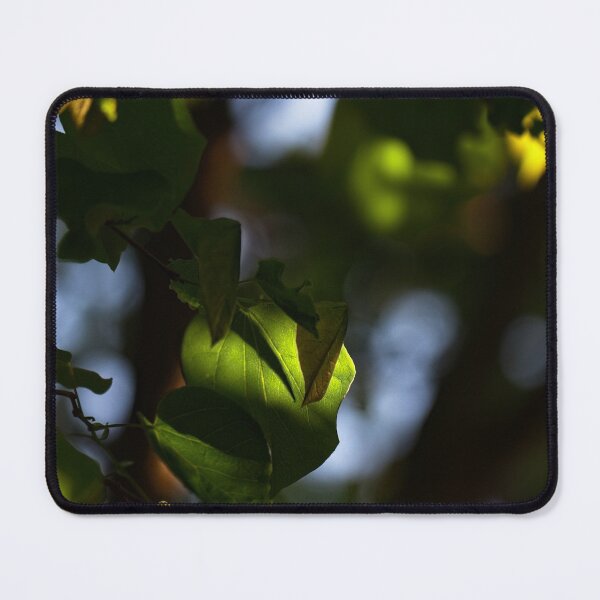 Item preview, "Small" Impressions 2022 (15) designed and sold by Wolf Sverak Photography.