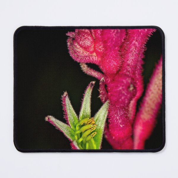 Item preview, "Small" Impressions 2022 (13) designed and sold by Wolf Sverak Photography.