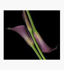 Alignment Photographic Print
