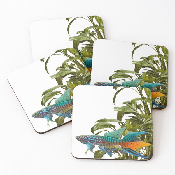 Item preview, Gularis and Cryptocoryne moehlmannii designed and sold by killies.