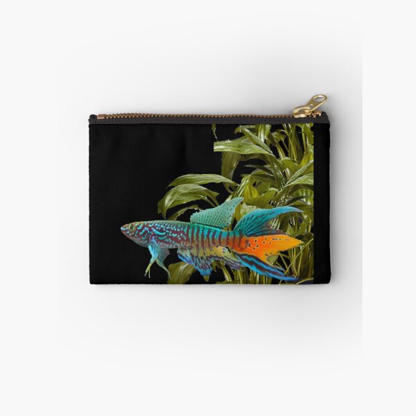 Item preview, Gularis and Cryptocoryne moehlmannii designed and sold by killies.