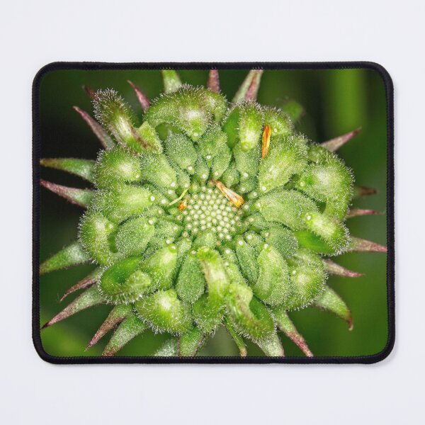 Item preview, "Small" Impressions 2022 (7) designed and sold by Wolf Sverak Photography.