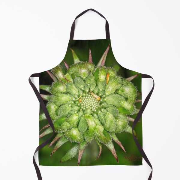 Item preview, "Small" Impressions 2022 (7) designed and sold by Wolf Sverak Photography.