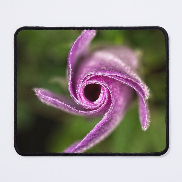 Item preview, "Small" Impressions 2022 (5) designed and sold by Wolf Sverak Photography.