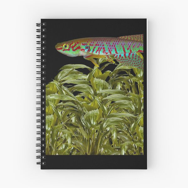 Item preview, Kunzi and Cryptocoryne moehlmannii designed and sold by killies.
