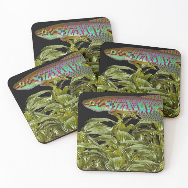Item preview, Kunzi and Cryptocoryne moehlmannii designed and sold by killies.