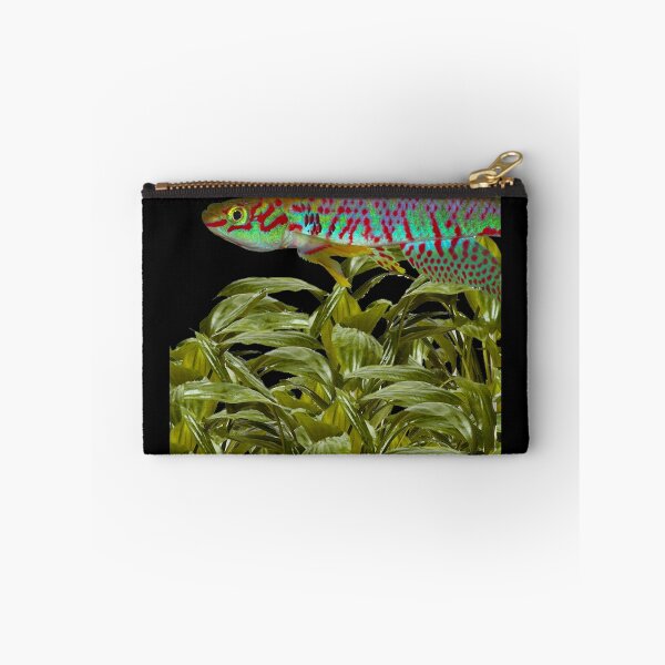 Item preview, Kunzi and Cryptocoryne moehlmannii designed and sold by killies.