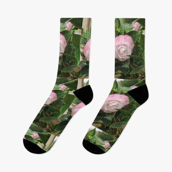 Item preview, Pale Pink Camellia Flower designed and sold by Honey Myrtle Studio.