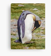 King Penguin Metal Print