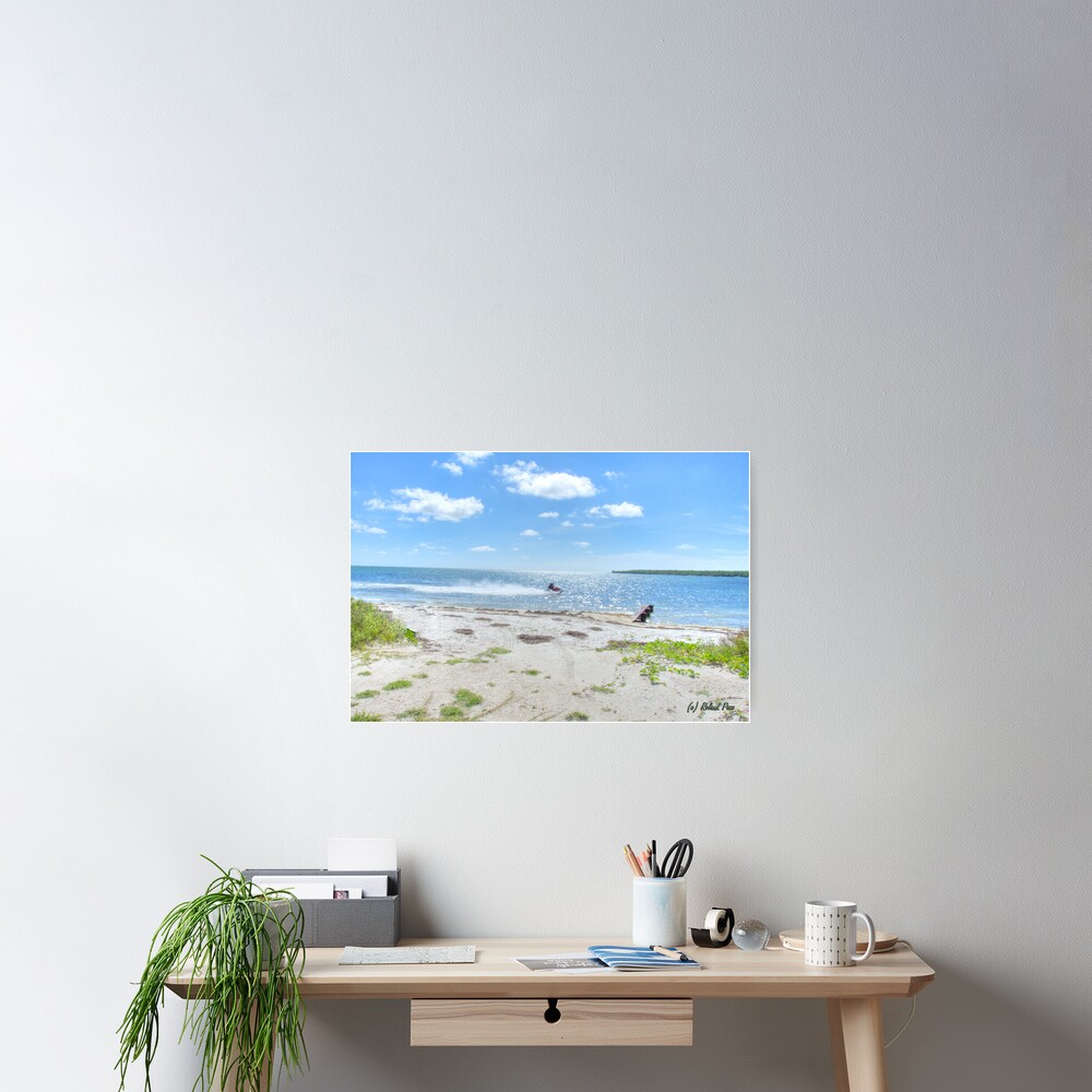 Fun in the Sun Poster