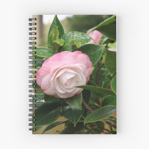 Item preview, Pale Pink Camellia Flower designed and sold by Honey Myrtle Studio.