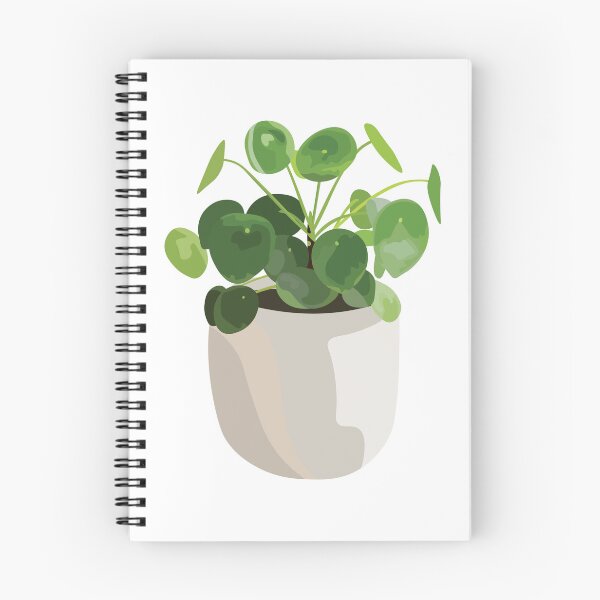 Artikelvorschau, Pilea-Pflanze, Chinesischer Geldbaum entworfen und verkauft von elmma design.