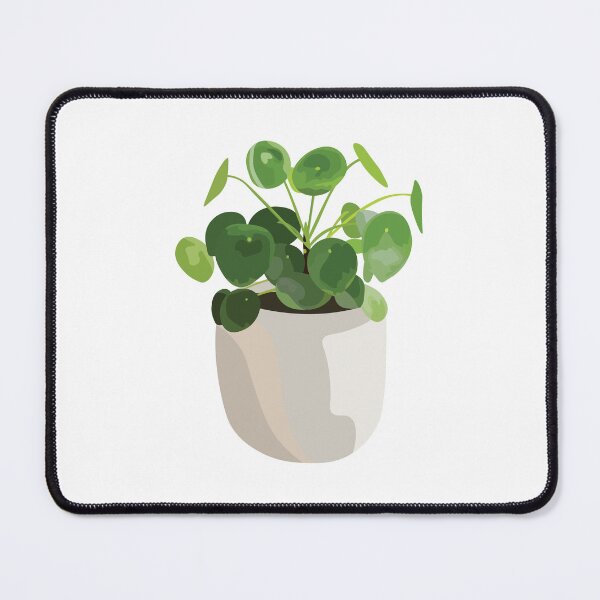 Item preview, Pilea Plant Chinese Money Plant designed and sold by elmma design.