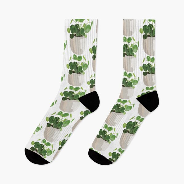 Item preview, Pilea Plant Chinese Money Plant designed and sold by elmma design.